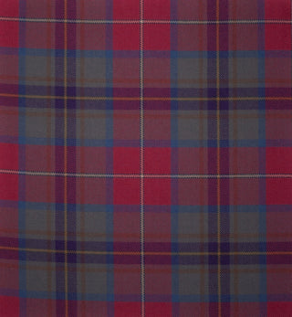Guardian of Weathered Light Weight Tartan