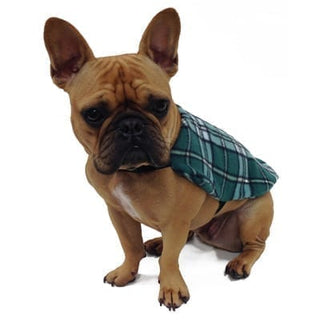 Dog Fleece Jacket