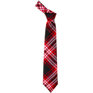 Tweedside Modern  Tartan Tie